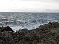 IMG 6223