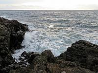IMG 6230