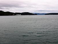 IMG 6288