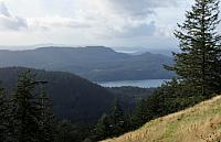 IMG 6310