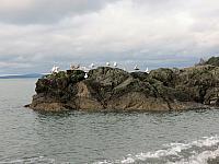 IMG 6339