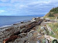 IMG 6342
