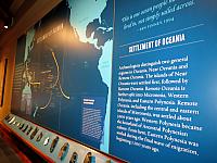 IMG 6447