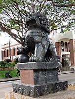 IMG 6452