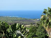 IMG 6481