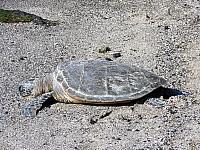 IMG 6503