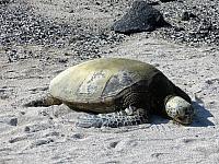 IMG 6505