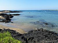 IMG 6510