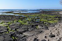 IMG 6524