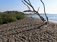 IMG 6528