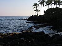IMG 6533