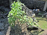 IMG 6535