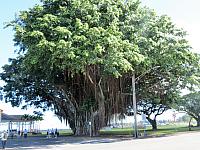 IMG 6787