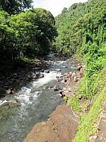 IMG 6846