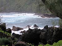 IMG 6875