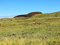 IMG 6906