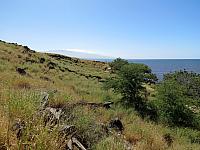 IMG 6913