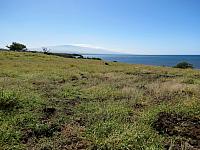 IMG 6915