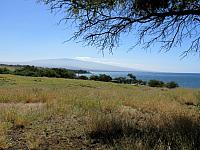 IMG 6920