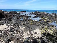 IMG 6964