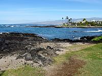 IMG 6981