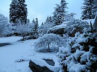 IMG 6368 (2)