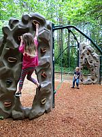 IMG 7270