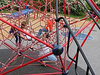IMG 7295