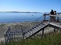 IMG 7356