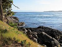 IMG 7372