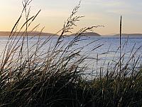 IMG 7397 (2)