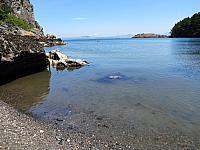 IMG 7424