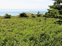 IMG 7433 (2)