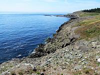IMG 7439