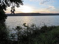 IMG 7454