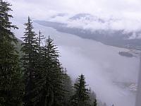 IMG 7703