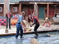IMG 7647
