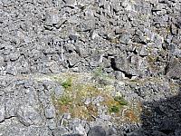 IMG 7825