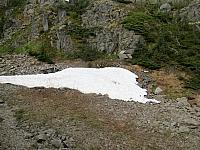 IMG 7854