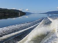 IMG 8888