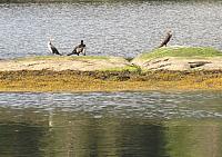 IMG 8915