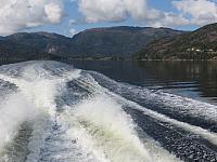 IMG 8919
