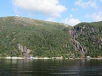 IMG 8954
