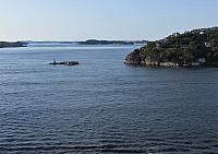 IMG 8994
