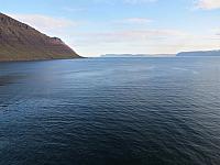 IMG 9184