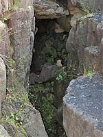 IMG 9290