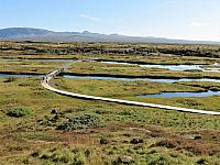 IMG 9305