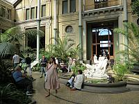 IMG 8751