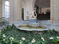 IMG 8753