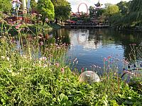 IMG 8792